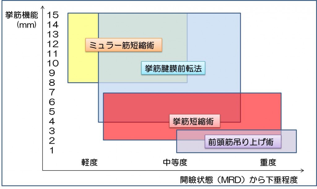 図2　術式適応